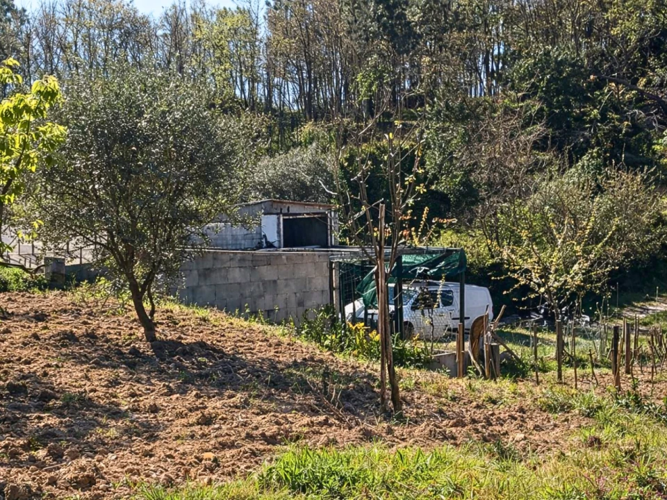 Quinta para Venda em Covilhã Foto 8