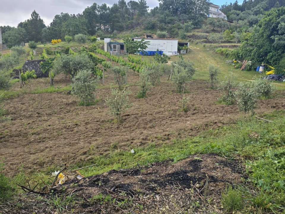 Quinta para Venda em Covilhã Foto 10