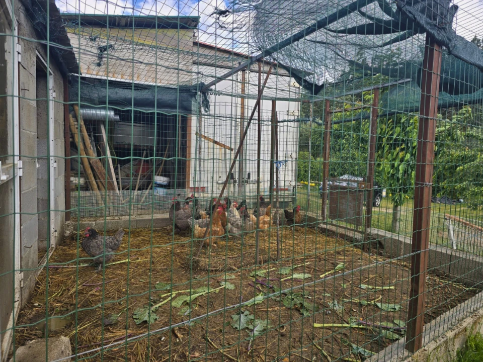 Quinta para Venda em Covilhã Foto 9