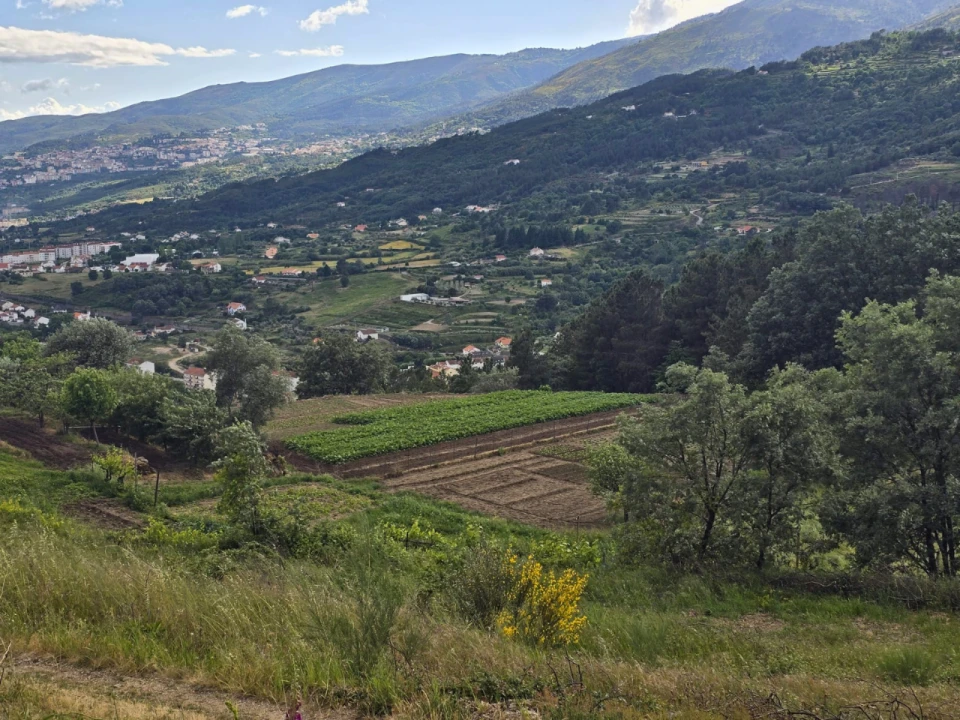 Quinta para Venda em Covilhã Foto 12