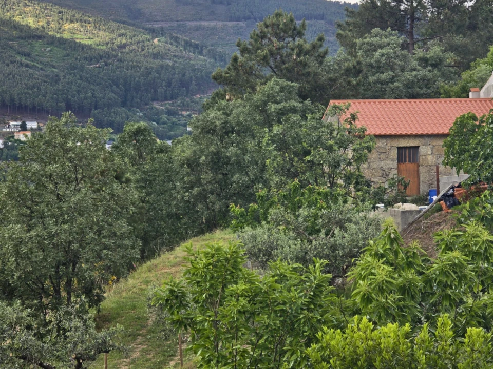 Quinta para Venda em Covilhã Foto 13