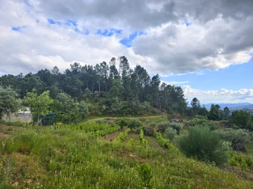 Quinta para Venda em Covilhã