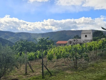 Quinta para Venda em Covilhã
