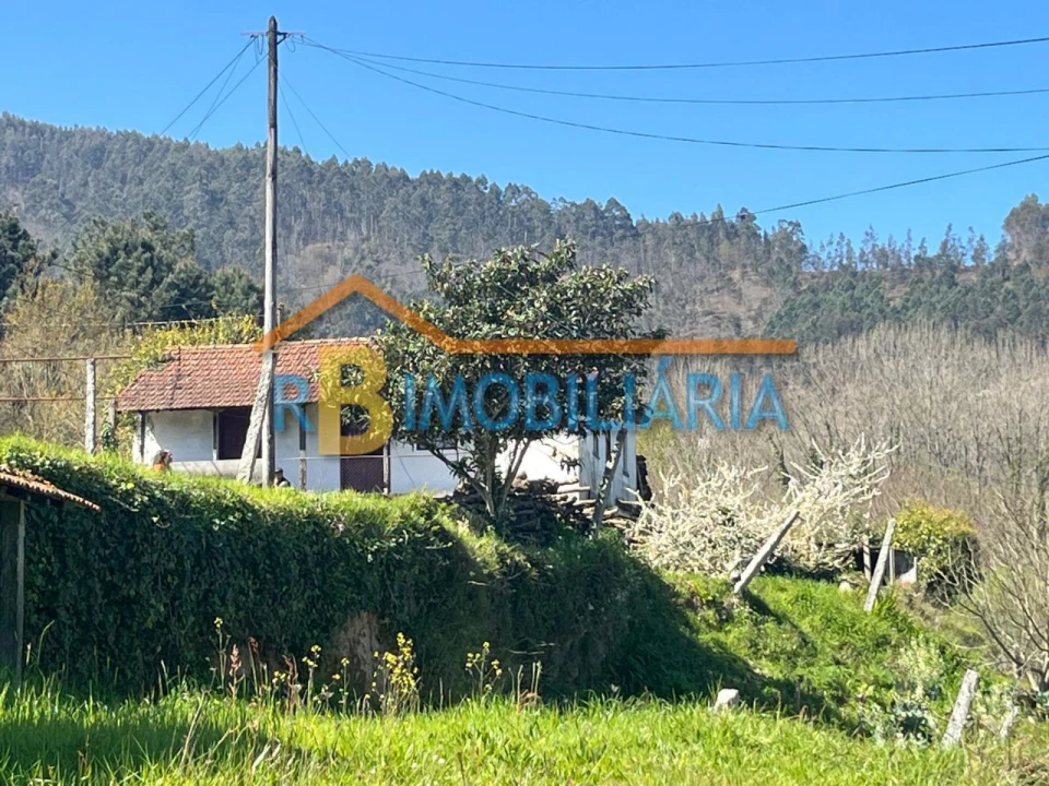 Quinta T3 para Venda em Moldes Foto 21