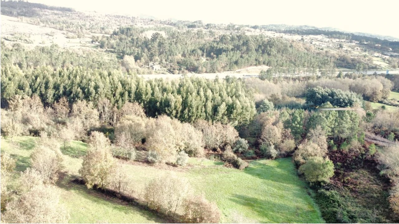 Terreno para Venda em Tragos, Mangualde Foto 2