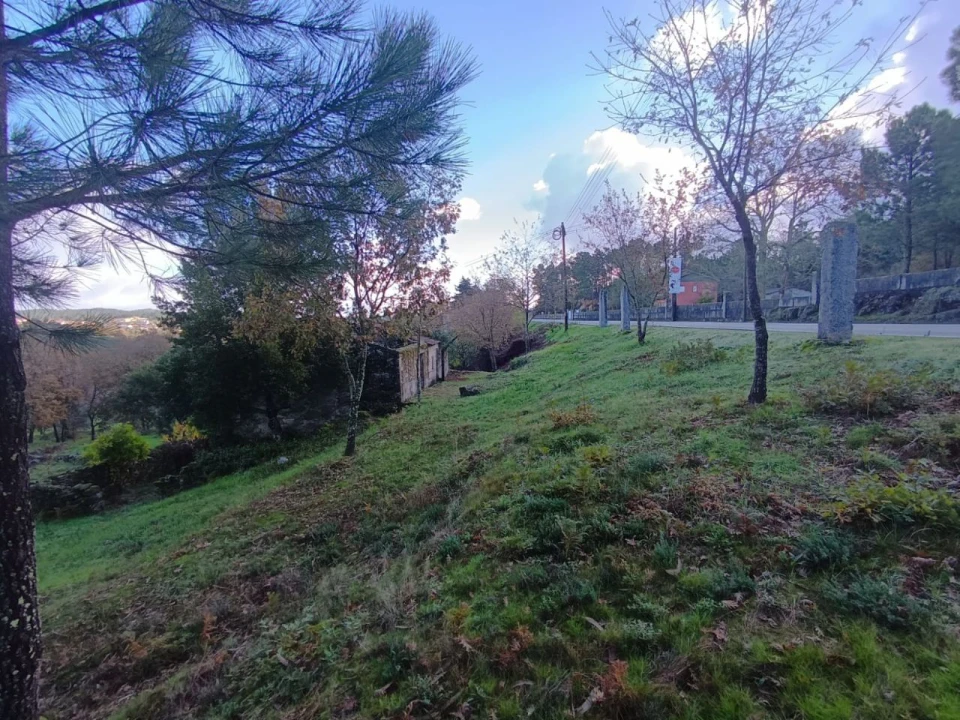 Terreno para Venda em Tragos, Mangualde Foto 3