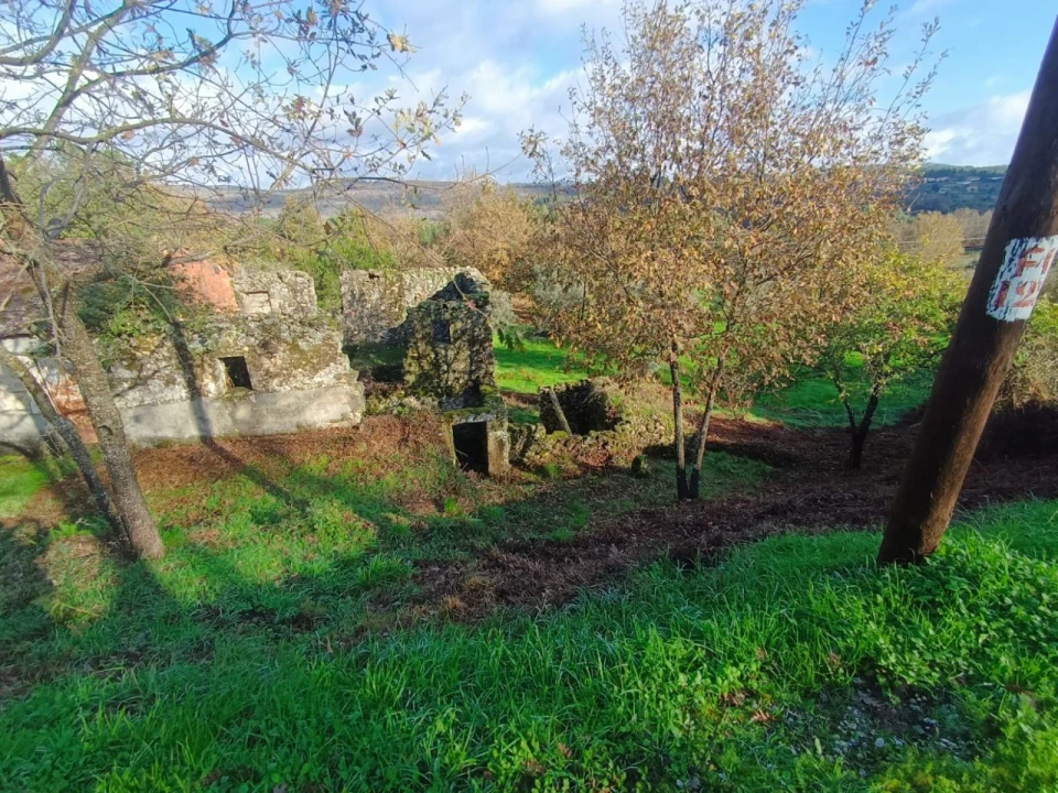 Terreno para Venda em Tragos, Mangualde Foto 6