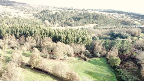 Terreno para Venda em Tragos, Mangualde