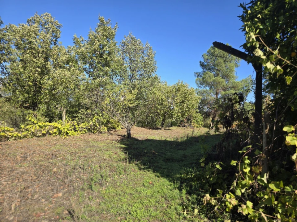 Quinta T1 para Venda em Ferro, Covilhã Foto 4