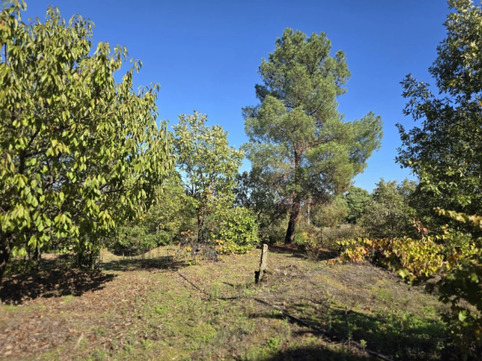 Quinta T1 para Venda em Ferro, Covilhã Foto 7