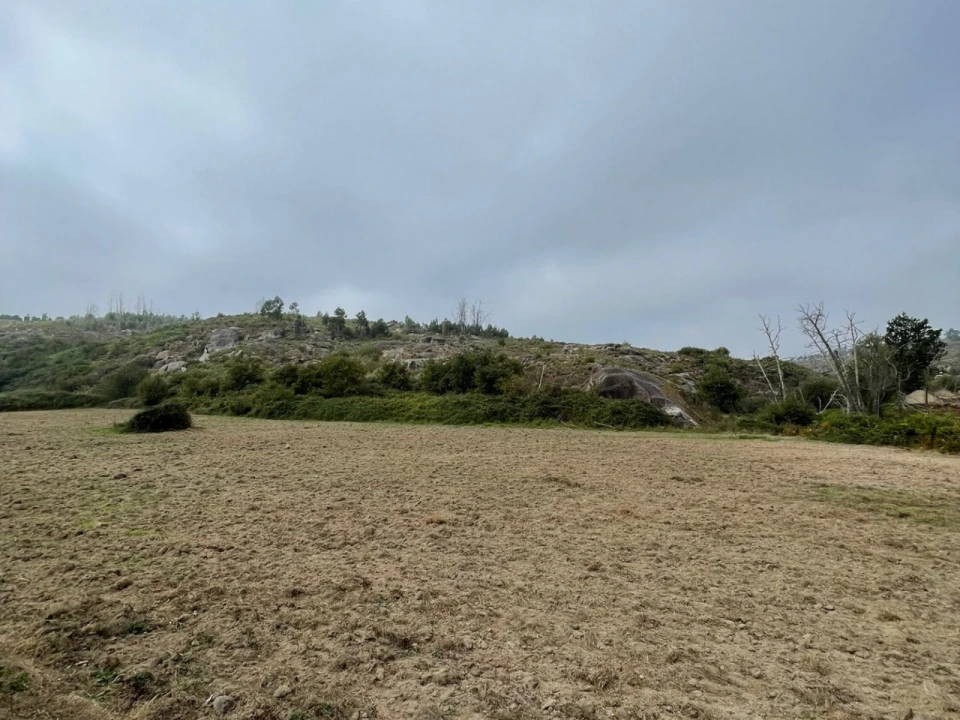 Terreno para Venda em Sameice Foto 2