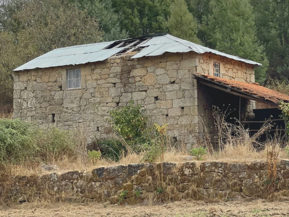 Terreno para Venda em Sameice Foto 6