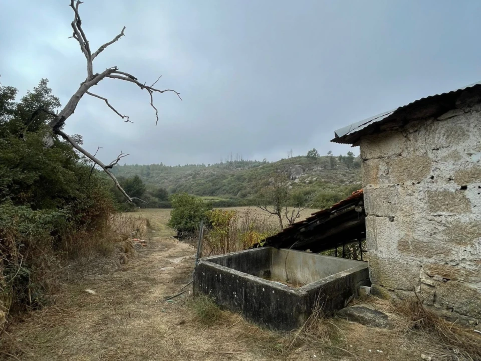 Terreno para Venda em Sameice Foto 7