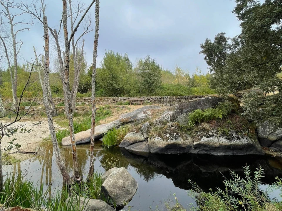 Terreno para Venda em Sameice Foto 1