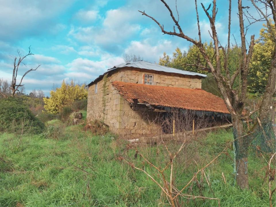 Terreno para Venda em Sameice Foto 3