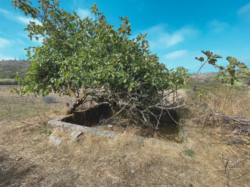 Terreno para Venda em Sameice Foto 4