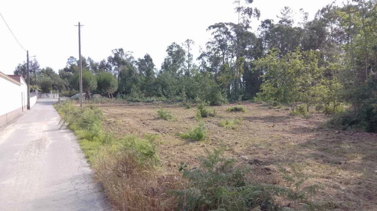 Terreno Misto para Venda em Naia Foto 16