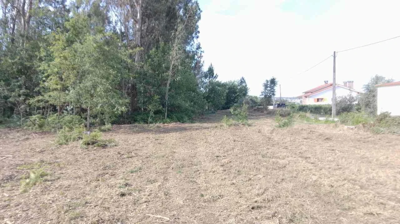 Terreno Misto para Venda em Naia Foto 17