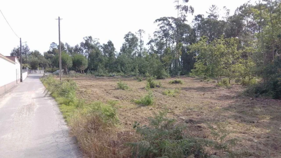 Terreno Misto para Venda em Naia Foto 16
