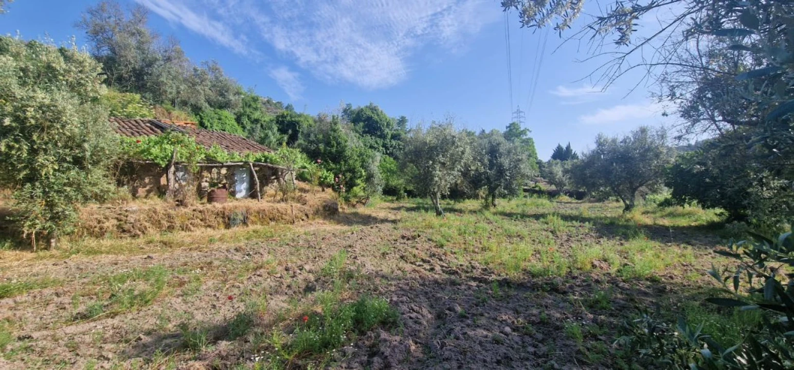 Terreno Misto para Venda em Casal do Abade Foto 3