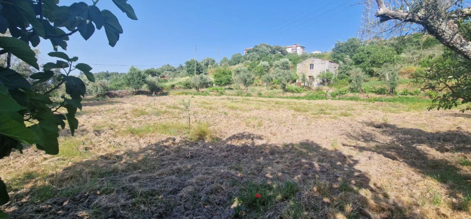 Terreno Misto para Venda em Casal do Abade Foto 1