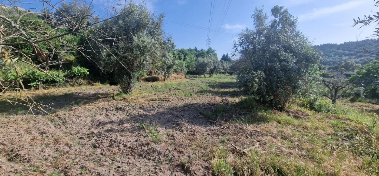 Terreno Misto para Venda em Casal do Abade Foto 5