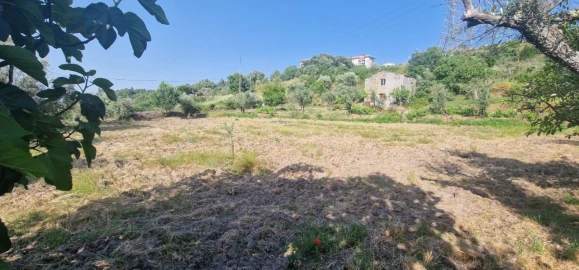 Terreno Misto para Venda em Casal do Abade