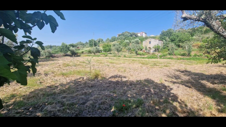 Terreno Misto para Venda em Casal do Abade