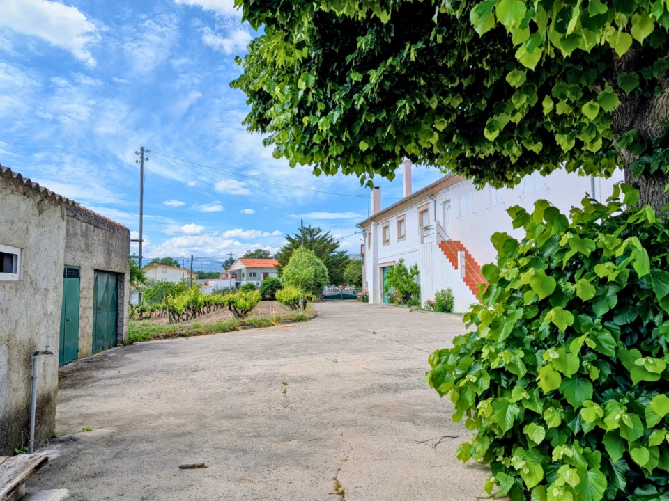 Apartamento T3 para Venda em Caria Foto 14