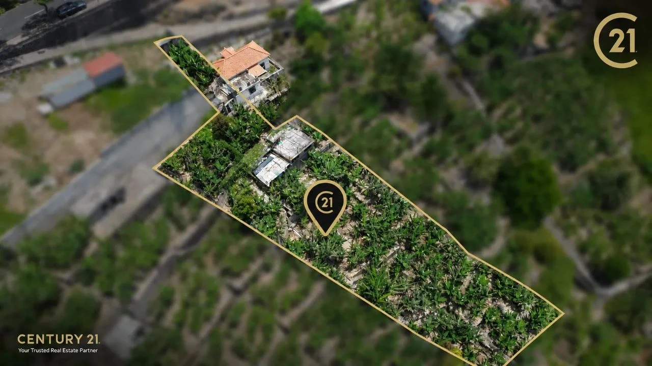 Terreno para Venda em Funchal Foto 3
