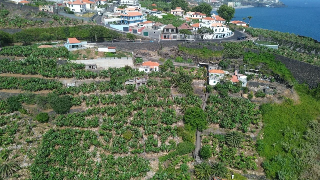 Terreno para Venda em Funchal Foto 4