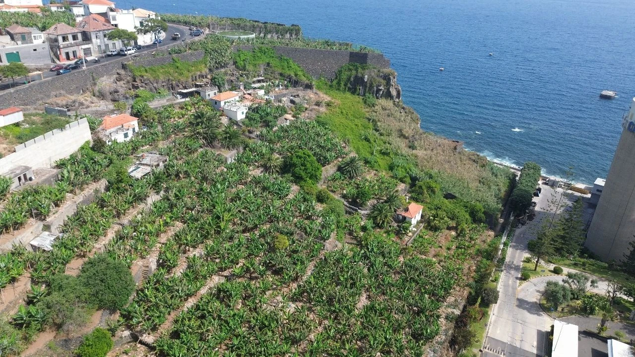 Terreno para Venda em Funchal Foto 6
