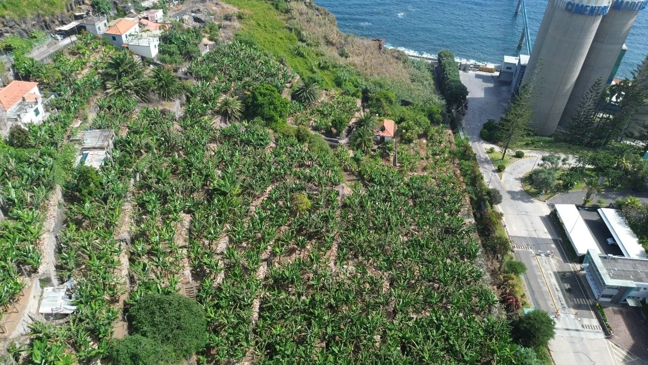 Terreno para Venda em Funchal Foto 7