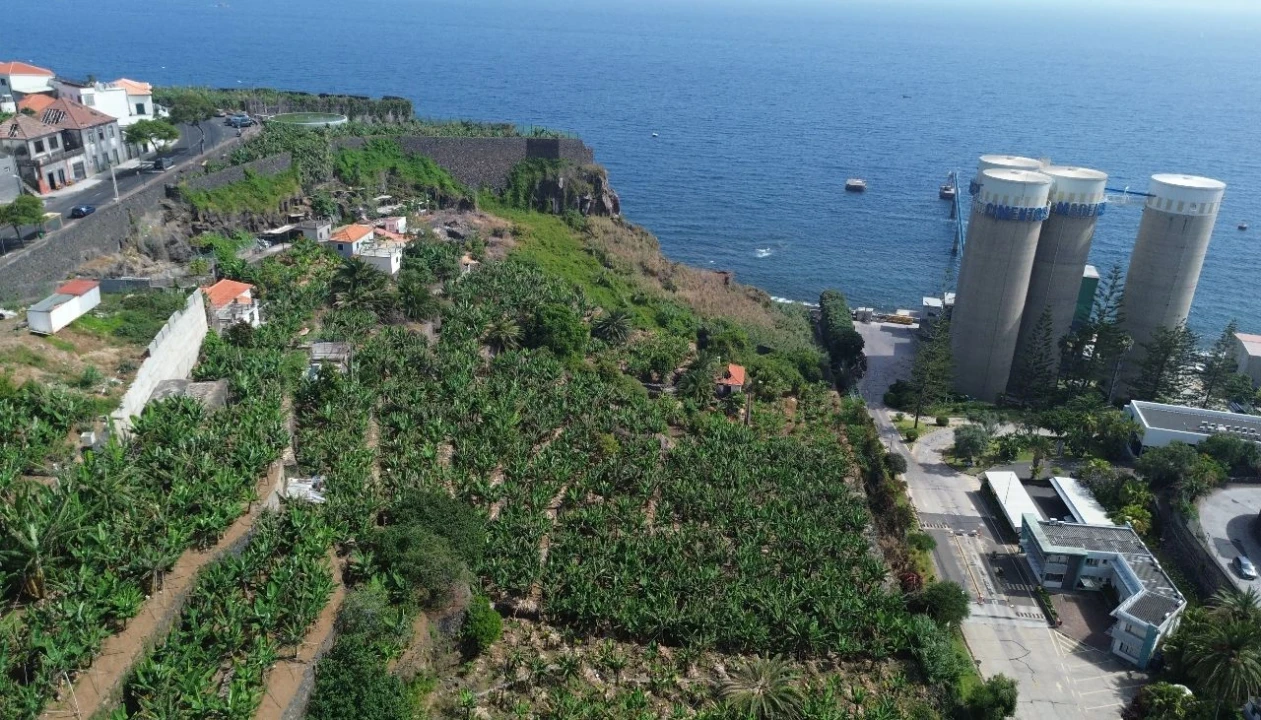 Terreno para Venda em Funchal Foto 12