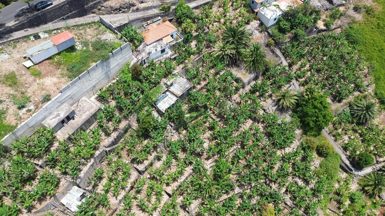 Terreno para Venda em Funchal Foto 17