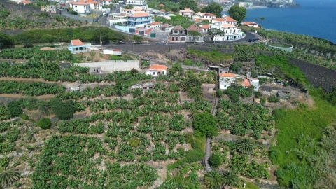 Terreno para Venda em Funchal