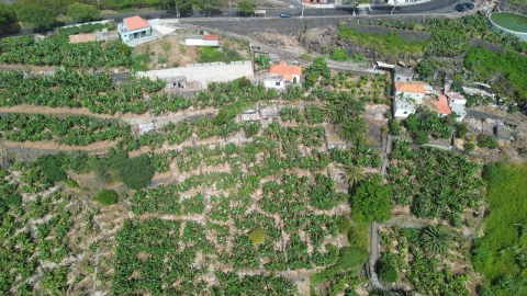 Terreno para Venda em Funchal