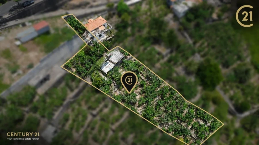 Terreno para Venda em Funchal Foto 3