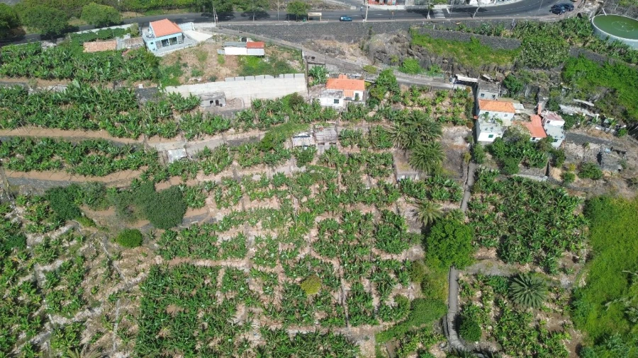 Terreno para Venda em Funchal Foto 18