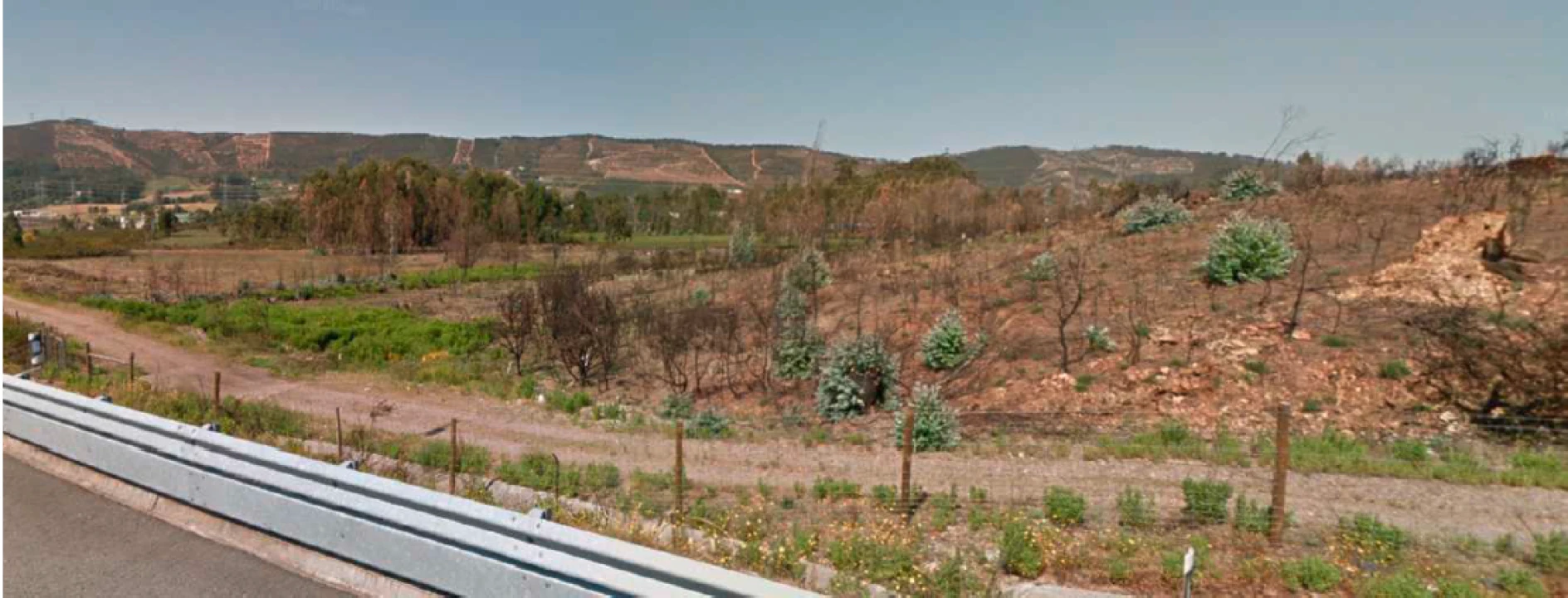 Terreno para Venda em Campo Foto 3