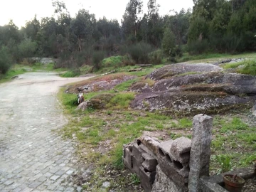 Terreno para Venda em Parada de Todeia