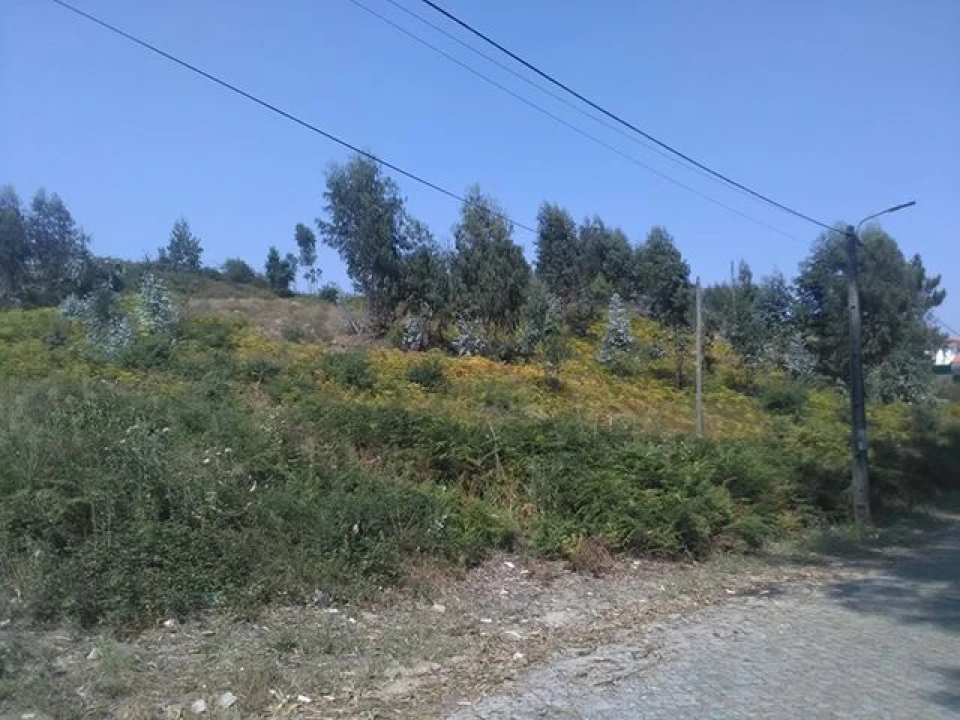 Terreno para Venda em Freamunde Foto 5