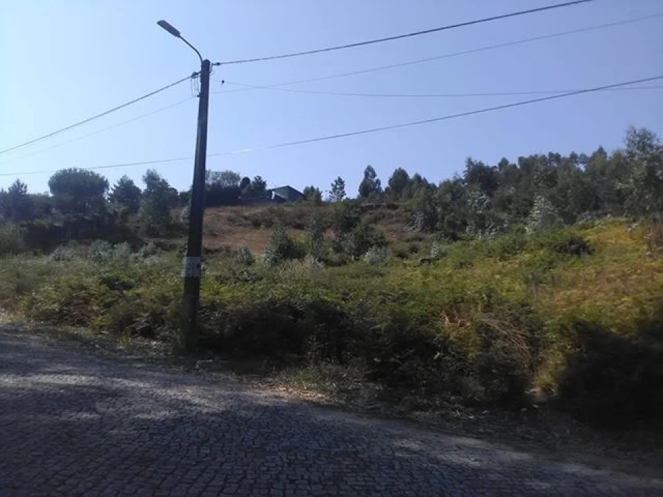 Terreno para Venda em Freamunde Foto 1