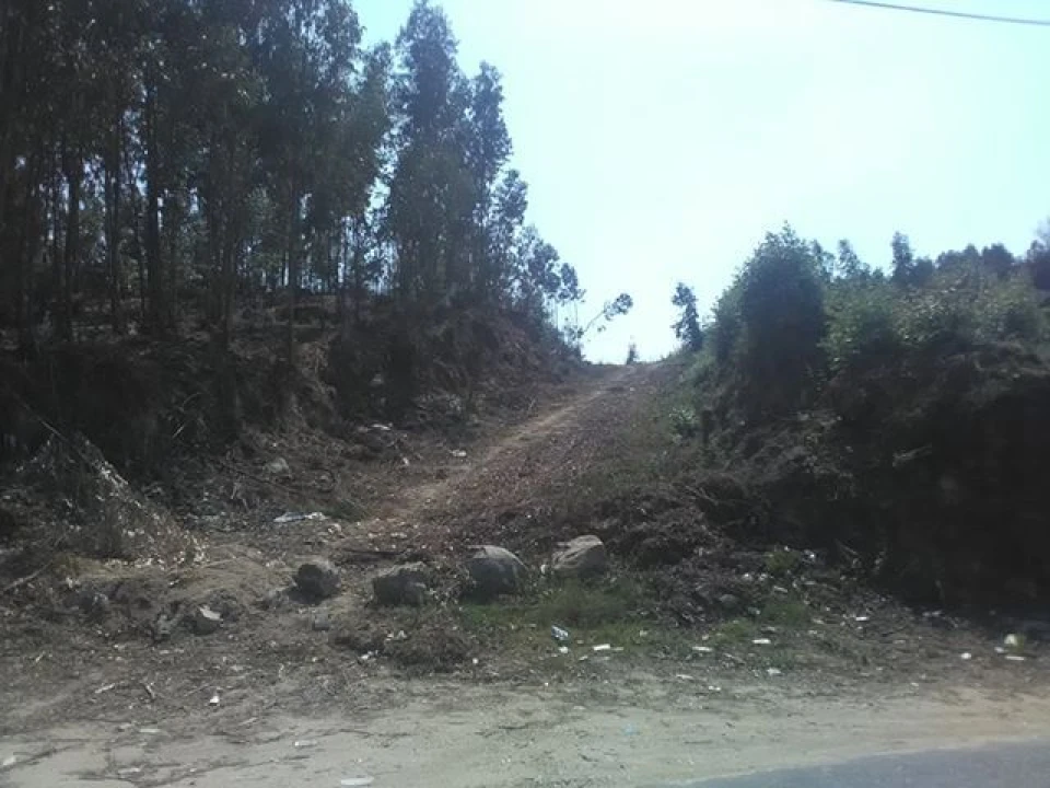 Terreno para Venda em Freamunde Foto 2