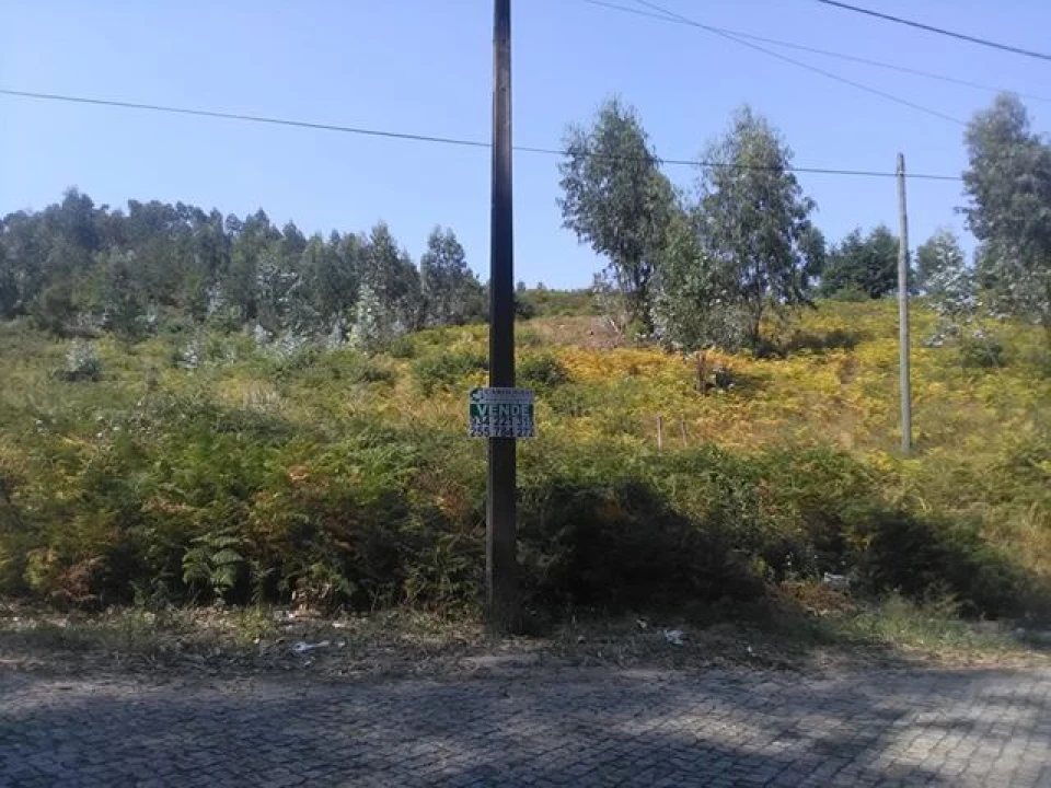 Terreno para Venda em Freamunde Foto 4