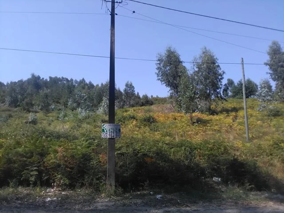 Terreno para Venda em Freamunde Foto 6