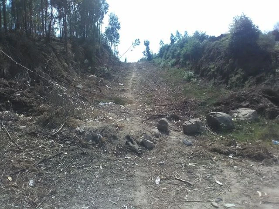 Terreno para Venda em Freamunde Foto 7