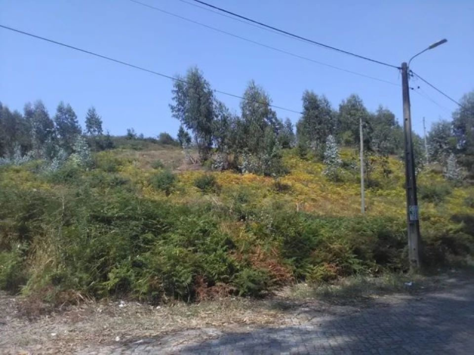 Terreno para Venda em Freamunde Foto 8