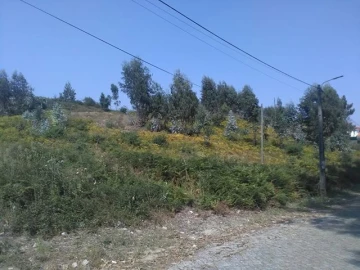 Terreno para Venda em Freamunde