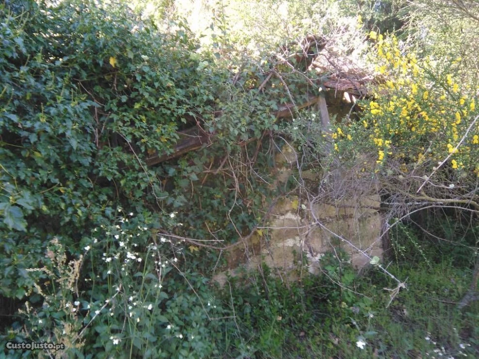 Terreno para Venda em Luzim Foto 6